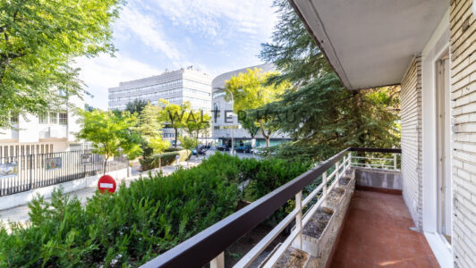 52A3988-HDR6724-1.jpg