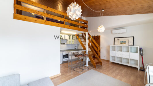 52A43506332-3.jpg