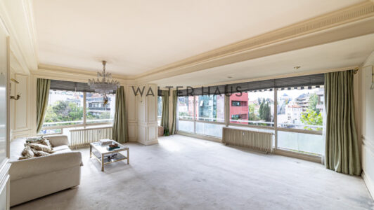 52A53384086-2.jpg