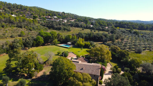 DJI_0394265-3.jpg
