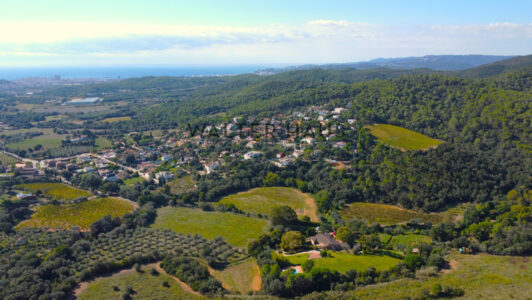 DJI_04112589-3.jpg