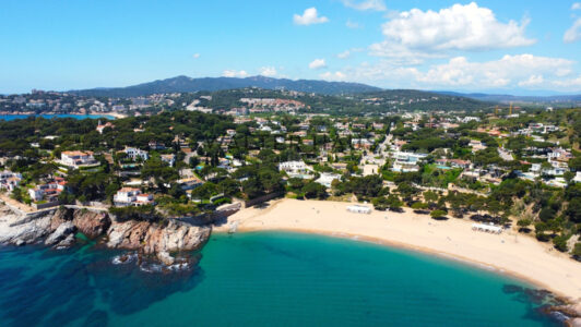 DJI_08493846-1.jpg