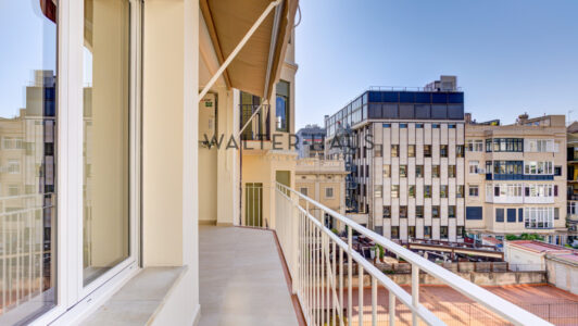 MCB_0112900-2.jpg