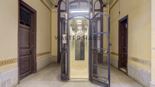 MCB_0167572-2.jpg