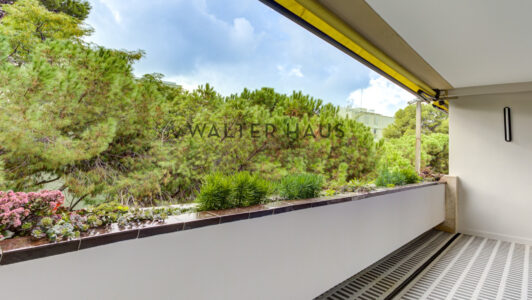 MCB_018745-1.jpg