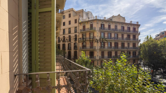 MCB_0301194.jpg