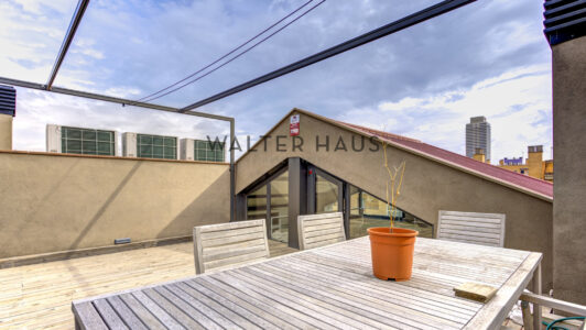 MCB_0535099-4.jpg