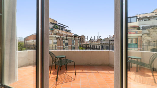 WalterHaus_Ausias20Marc2019201_215955-1.jpg