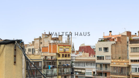 WalterHaus_Ausias20Marc2019202_383675.jpg