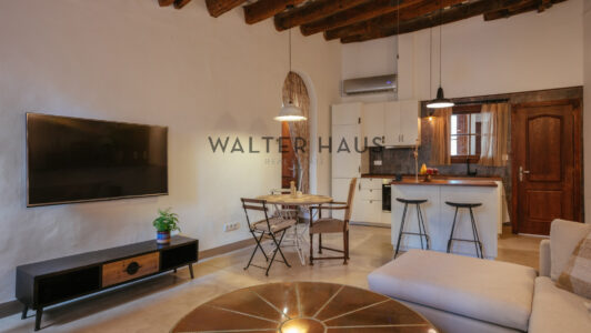 casa20120sala2020281295153-2.jpg