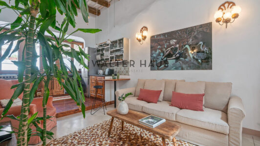 casa20220sala2020284294171-2.jpg