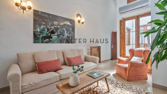 casa20220sala2020285294966-2.jpg